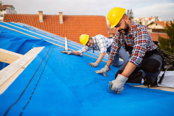 Best Roof Leak Repair  in Detroit Lakes, MN